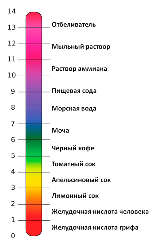 pH норма. pH организма человека - Медтехника №7 Москва