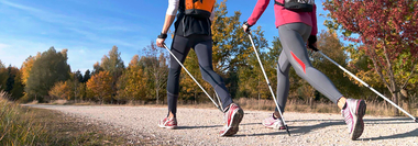 Скандинавская ходьба с палками