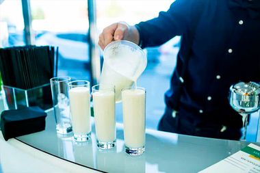 Кислородный коктейль-бар: как открыть?