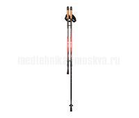 Палки для скандинавской ходьбы Armed STC031 (2-х секционные)