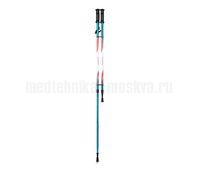 Палки для скандинавской ходьбы Armed STC032