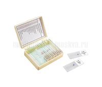 Набор препаратов "Анатомия и физиология" (16 обр. для школы) арт. 22750