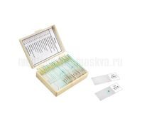 Набор препаратов Ботаника (16 обр. для школы)