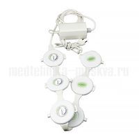 Амит (Ортомаг)