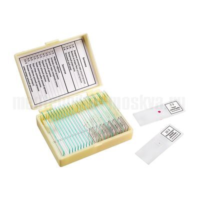 Набор препаратов для микроскопа "Ботаника и зоология", 14 образцов (арт. 22752)